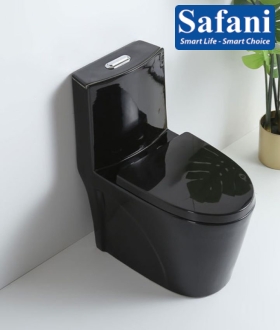 Bồn cầu 1 khối đen bóng SA9266